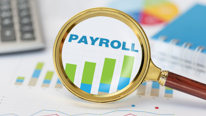 Payroll Software